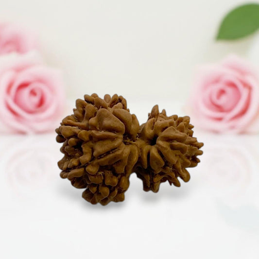 Gauri Ganesh Rudraksha