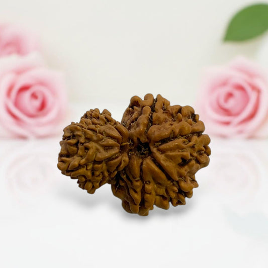 Gauri Ganesh Rudraksha