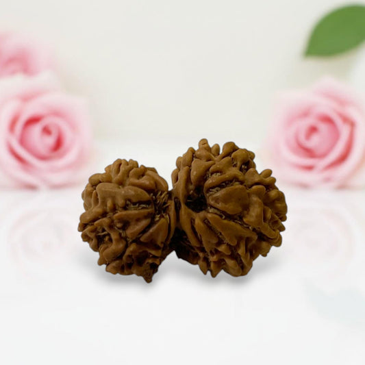Gauri Ganesh Rudraksha