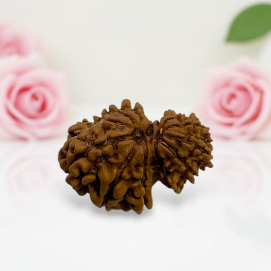 Gauri Ganesh Rudraksha