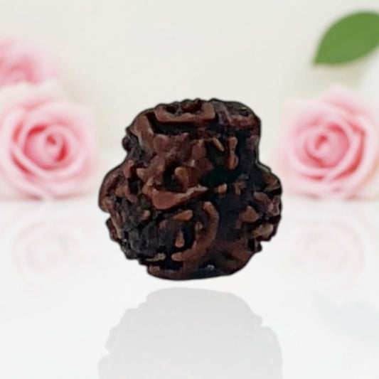 Natural 3 Mukhi Rudraksha Beads AA Premium Quality