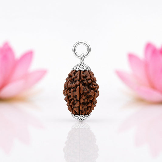 Natural 3 Mukhi Rudraksha Pendant