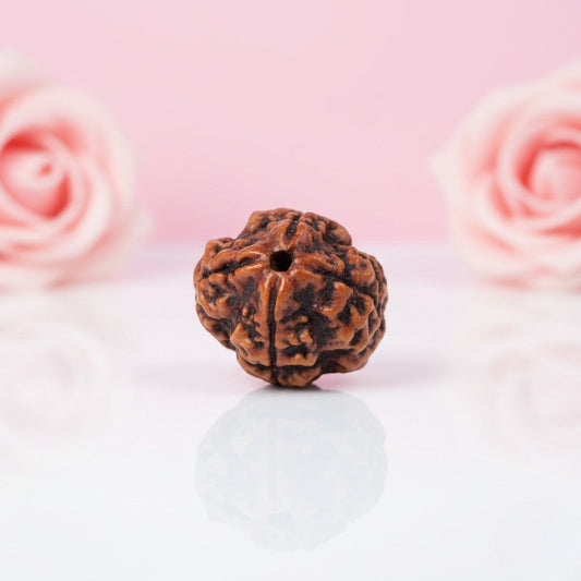 Natural 4 Mukhi Rudraksha Beads AAA Premium Quality