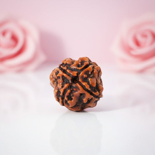 Natural 4 Mukhi Rudraksha Beads AAA Premium Quality