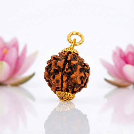 Natural 5 Mukhi Rudraksha Pendant – Gold Plated