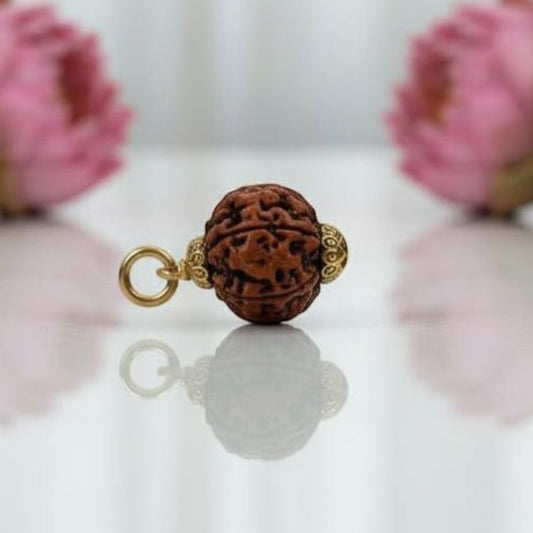 Natural 6 Mukhi Rudraksha Pendant – Gold Plated