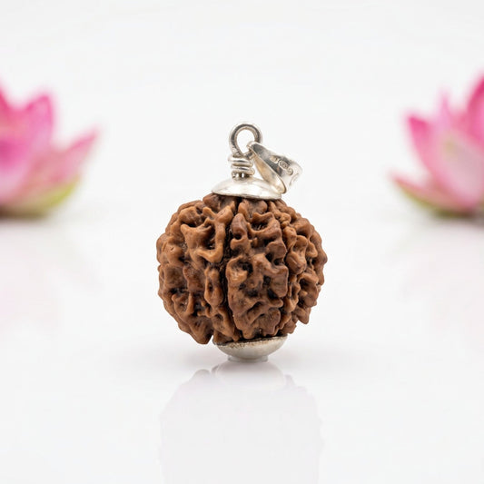 Natural 6 Mukhi Rudraksha Pendant – Silver (92.5)