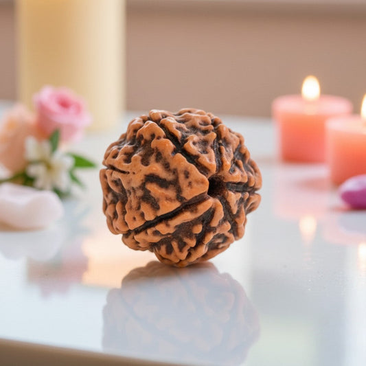 Natural 7 Mukhi Rudraksha Beads AAA Premium Quality