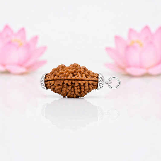 Natural 2 Mukhi Rudraksha Pendant