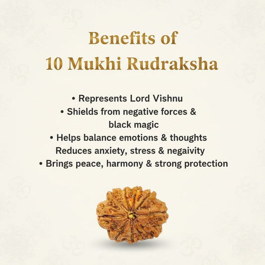 Natural 10 Mukhi Rudraksha Beads AA Premium Quality