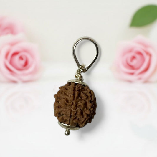 7 Mukhi Rudraksha Pendant A Premium Quality