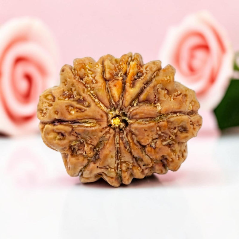 10 Mukhi