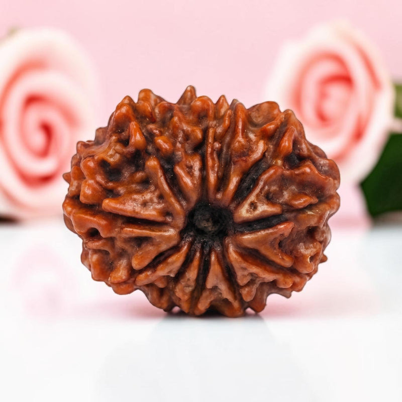 11  Mukhi