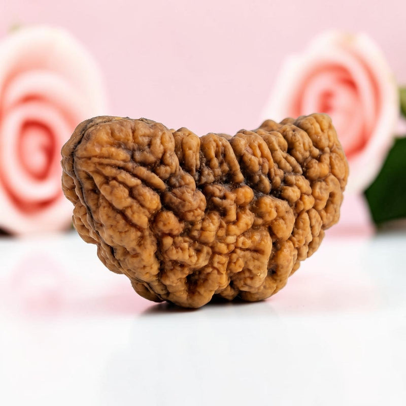 1 Mukhi