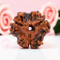 3 Mukhi
