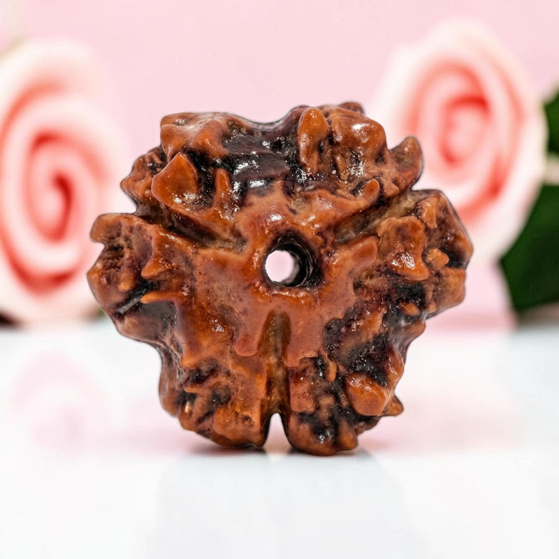 3 Mukhi