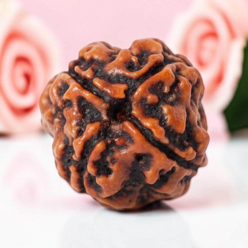 4 Mukhi