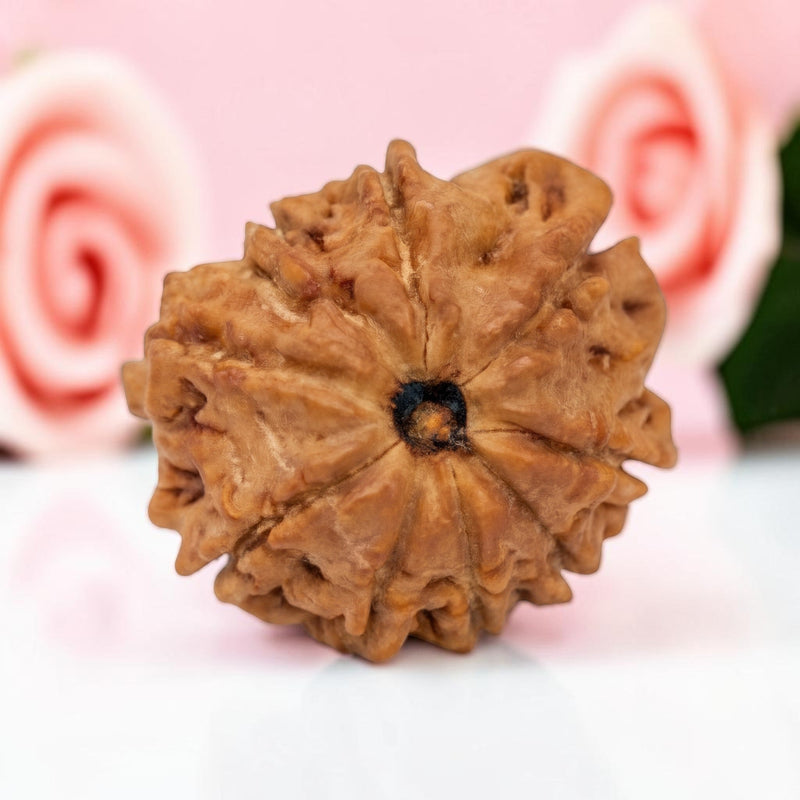 9  Mukhi