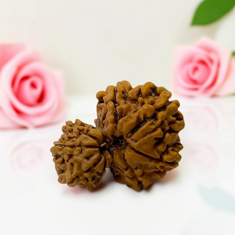 Gauri Ganesh
