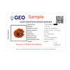 Natural 11 Mukhi Rudraksha Beads