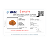 Natural 12 Mukhi Rudraksha Beads