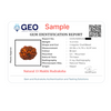 Natural 13 Mukhi Rudraksha Beads