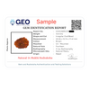 Natural 14 Mukhi Rudraksha Beads