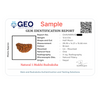 Natural 1 Mukhi Rudraksha Beads  A Premium Quality