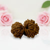Gauri Ganesh Rudraksha