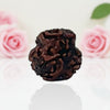 Natural 3 Mukhi Rudraksha Beads  AA Premium Quality