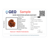 Natural 3 Mukhi Rudraksha Beads  A Premium Quality