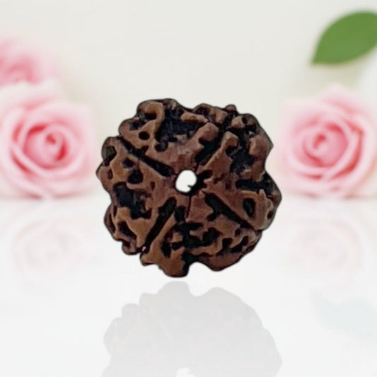 Natural 4 Mukhi Rudraksha Beads  AA Premium Quality