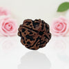 Natural 4 Mukhi Rudraksha Beads  AA Premium Quality