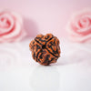 Natural 4 Mukhi Rudraksha Beads  AAA Premium Quality