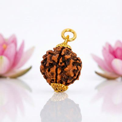 Natural 5 Mukhi Rudraksha Pendant – Gold Plated