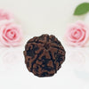Natural 5 Mukhi Rudraksha Beads  AA Premium Quality