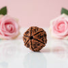 Natural 6 Mukhi Rudraksha Beads  AAA Premium Quality