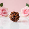 Natural 6 Mukhi Rudraksha Beads  AAA Premium Quality