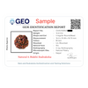 Natural 6 Mukhi Rudraksha Beads  AA Premium Quality