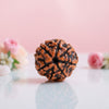 Natural 7 Mukhi Rudraksha Beads  AAA Premium Quality