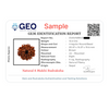 Natural 8 Mukhi Rudraksha Beads  A Premium Quality