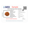 Natural 9 Mukhi Rudraksha Beads  A Premium Quality