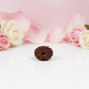Natural 13 Mukhi Rudraksha Beads