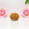 Natural 10 Mukhi Rudraksha Beads  AA Premium Quality
