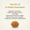 Natural 10 Mukhi Rudraksha Beads  AA Premium Quality