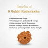 Natural 9 Mukhi Rudraksha Beads  AA Premium Quality