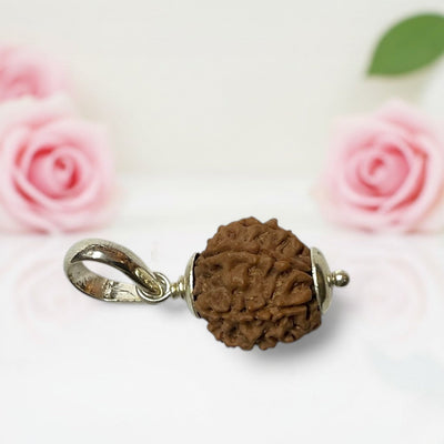 7 Mukhi Rudraksha Pendant A Premium Quality