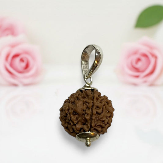7 Mukhi Rudraksha Pendant  AA Premium Quality