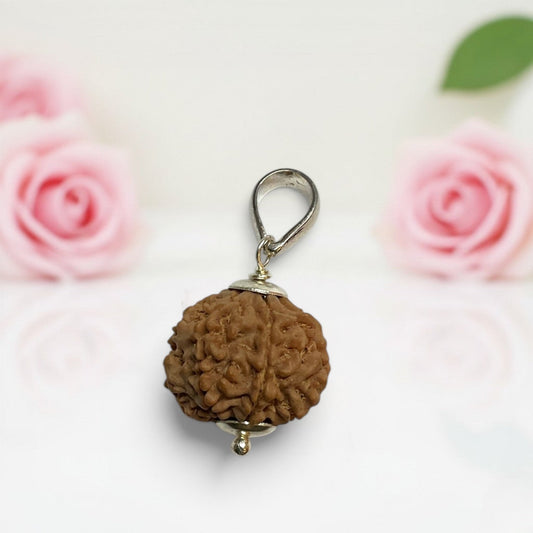 7 Mukhi Rudraksha Pendant  AAA Premium Quality