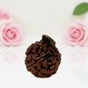 Natural Ganesh Rudraksha Beads  AA Premium Quality